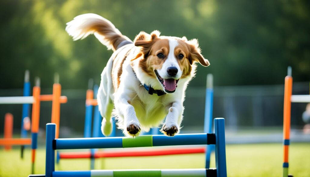 benefits of agility training